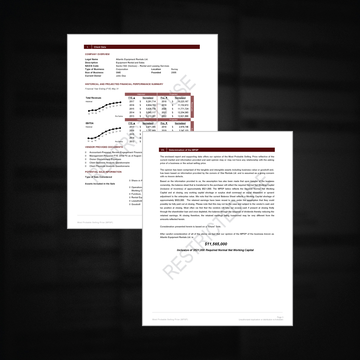 Financial Analysis Tool document