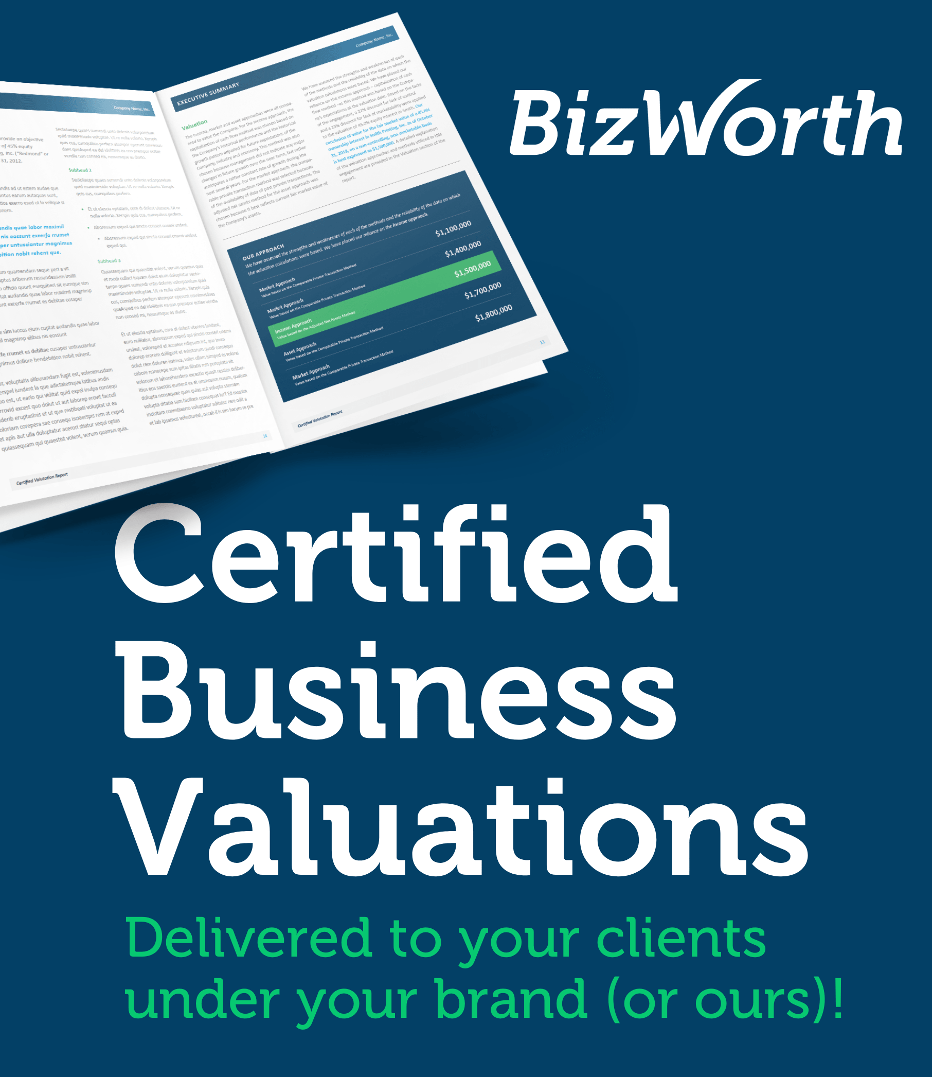 bizworth certified business valuations branding