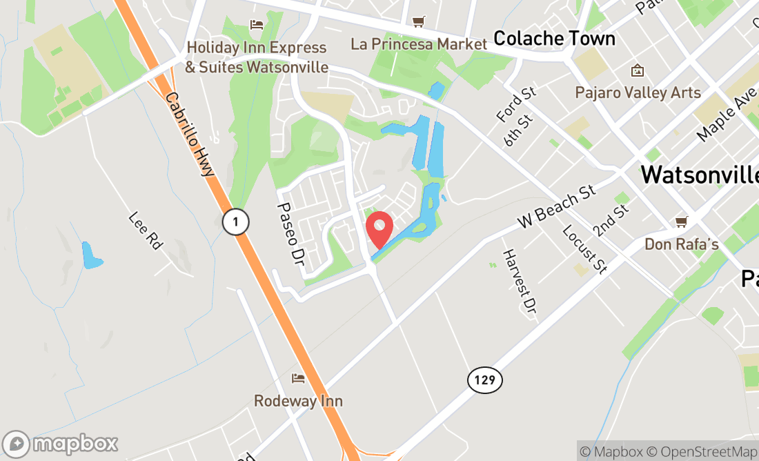 Ashley Ayala location