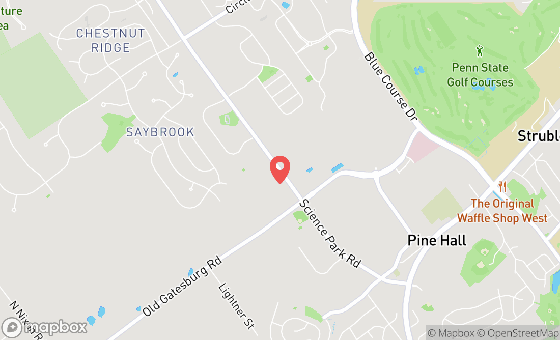 Terri Breindel location